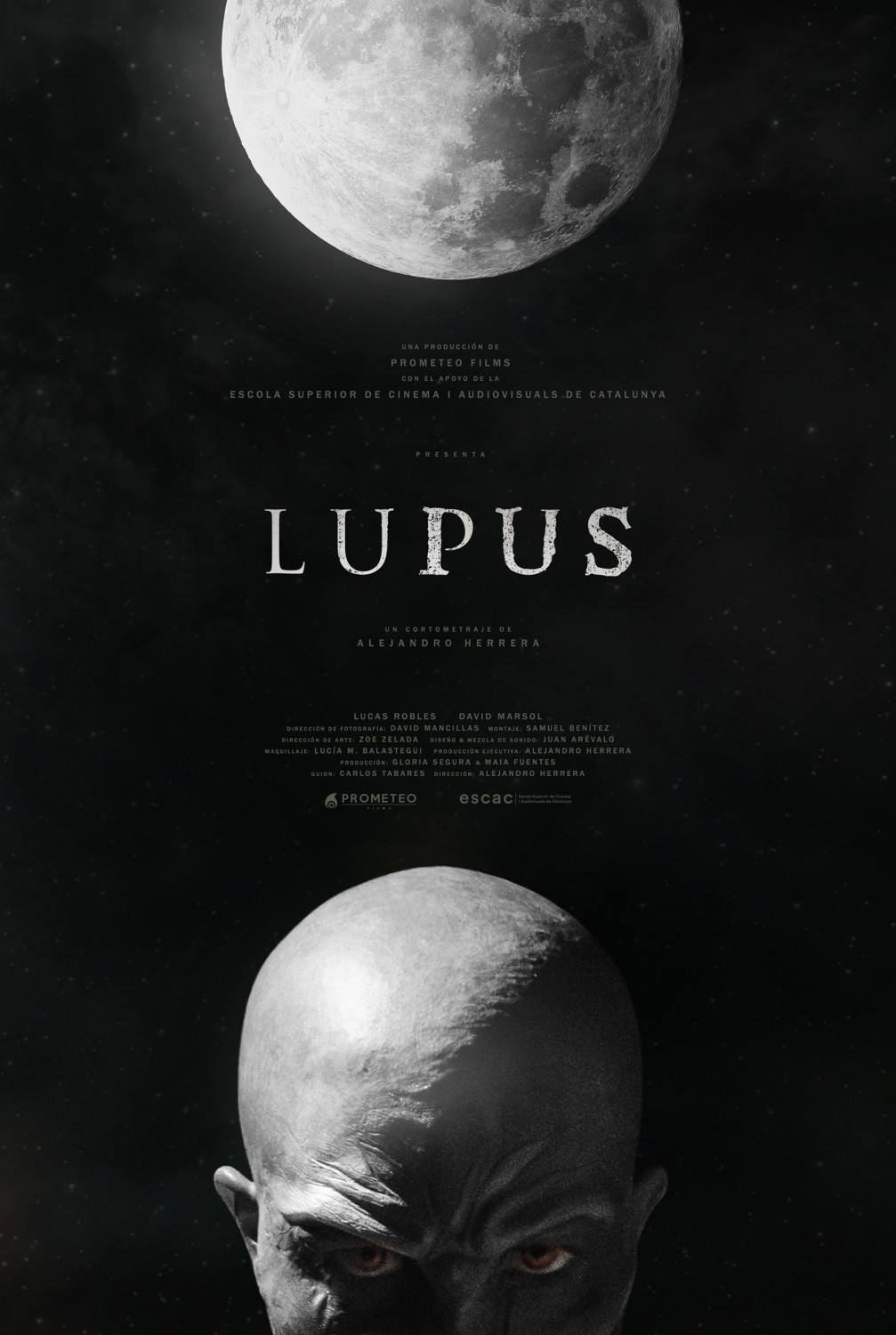 Extra Large Movie Poster Image for Lupus