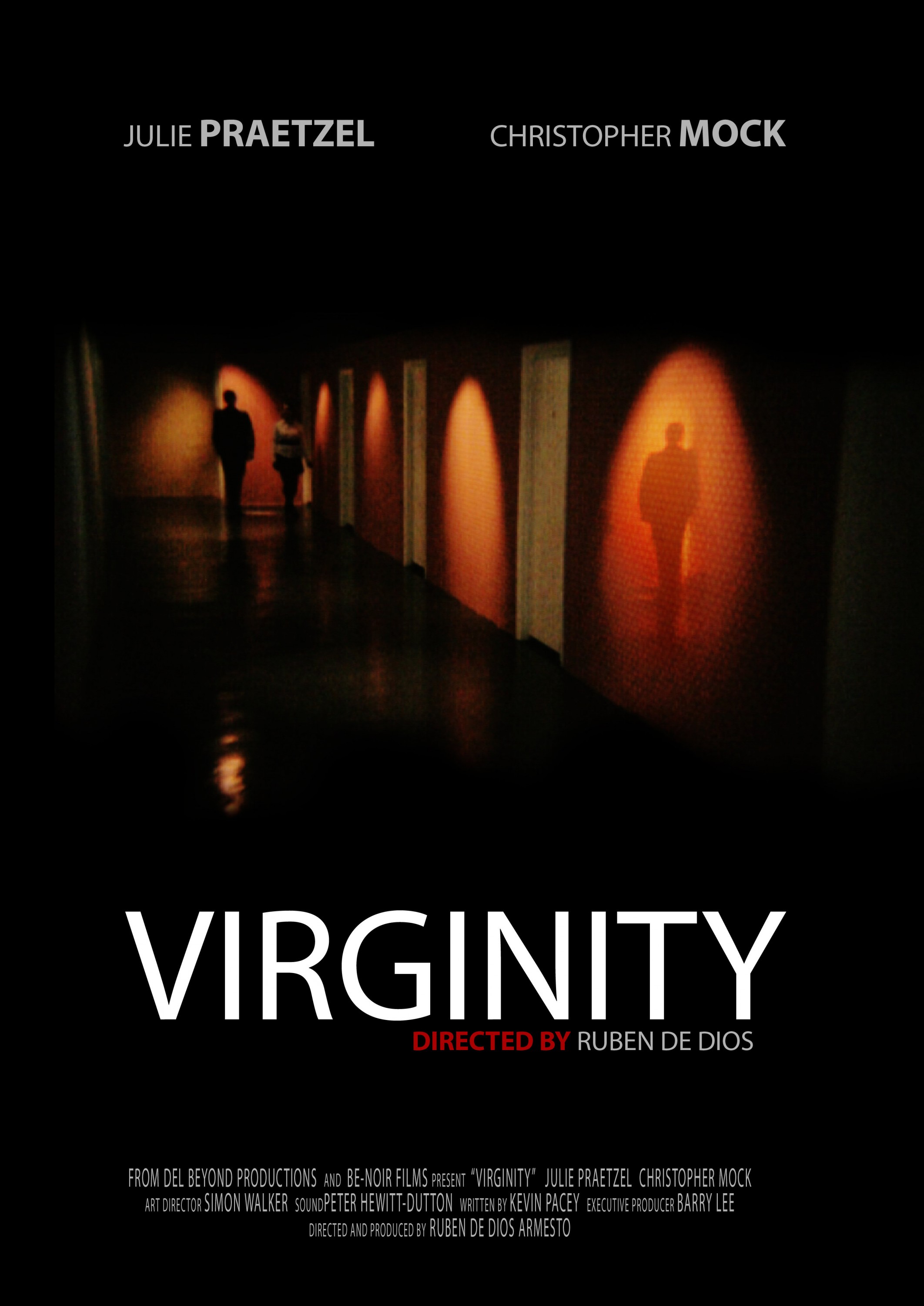 Mega Sized Movie Poster Image for Virginity