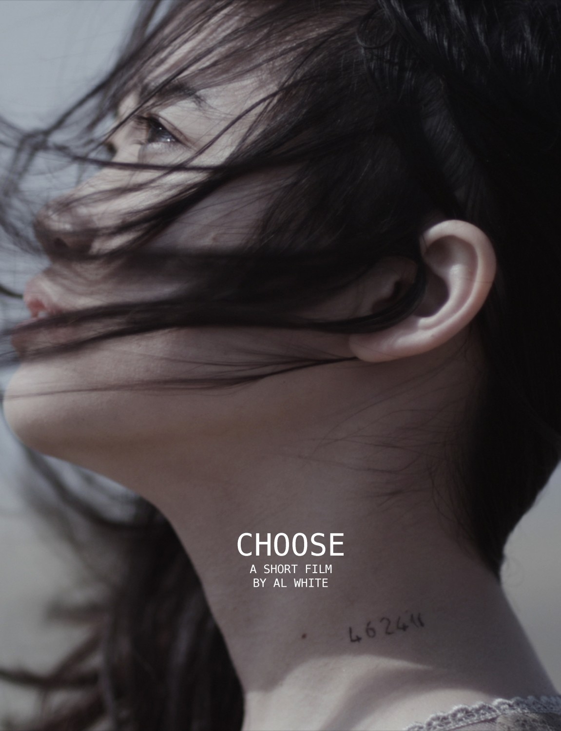 Extra Large Movie Poster Image for Choose