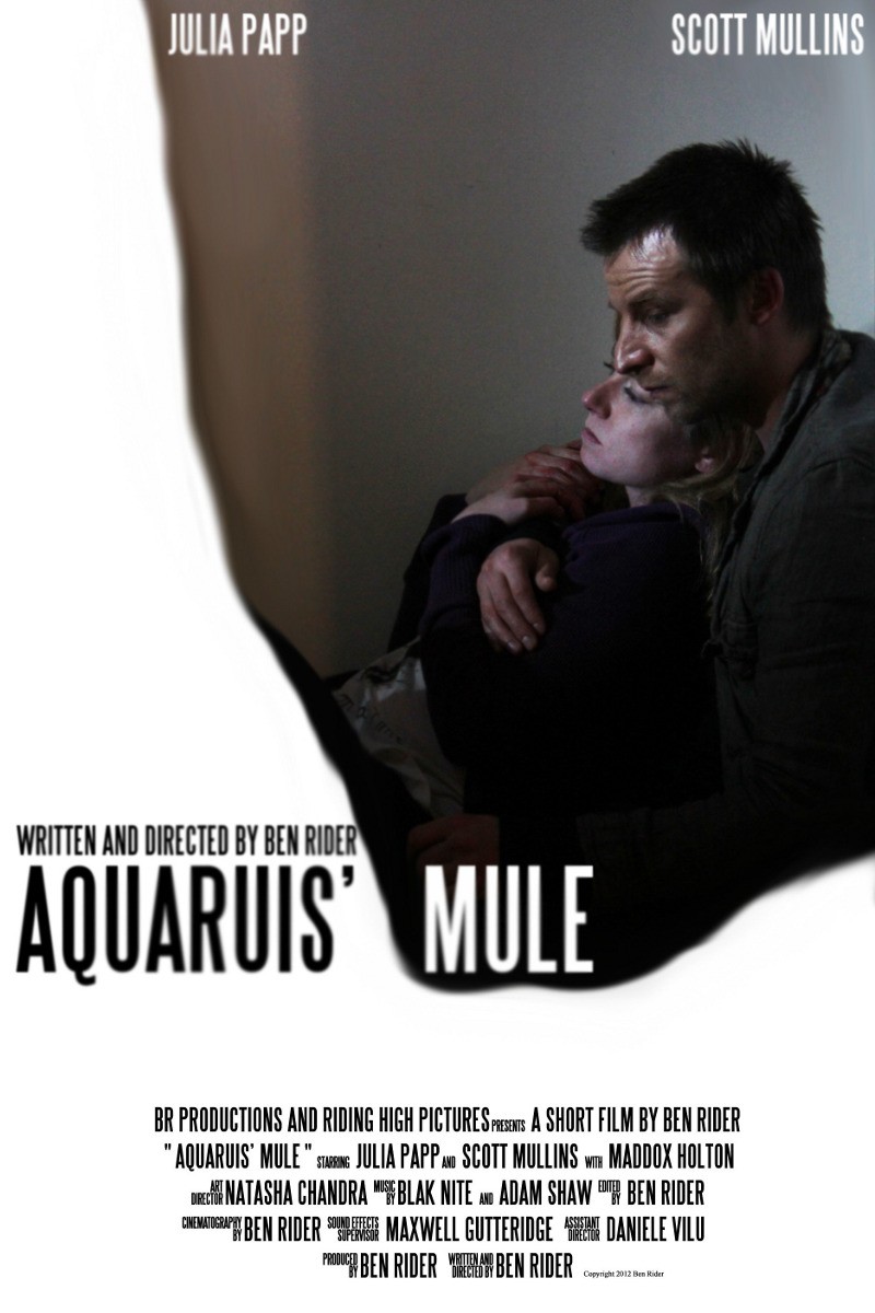 Extra Large Movie Poster Image for Aquarius' Mule