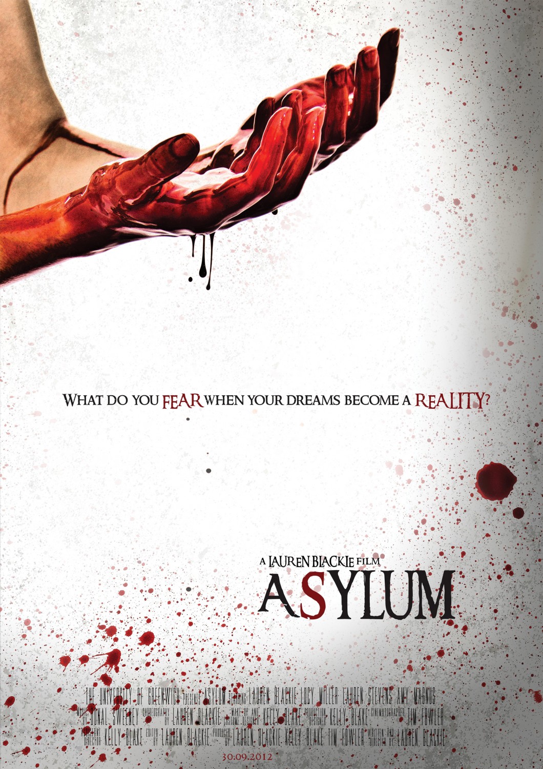 Extra Large Movie Poster Image for Asylum