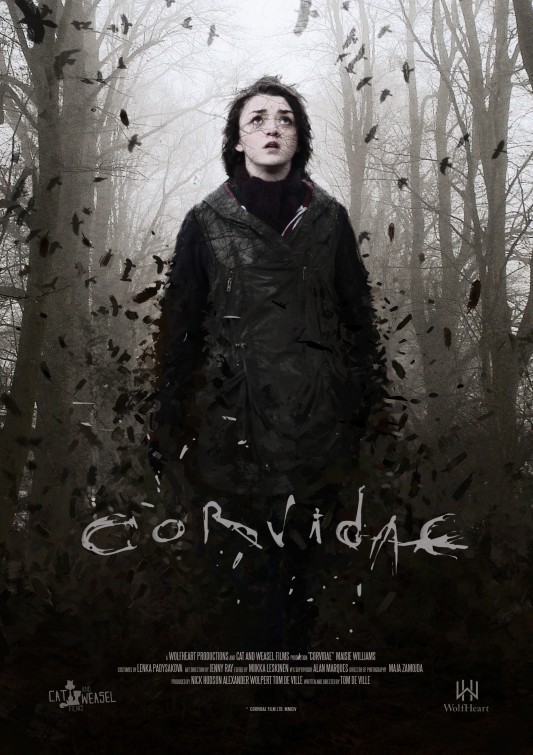 Corvidae Short Film Poster