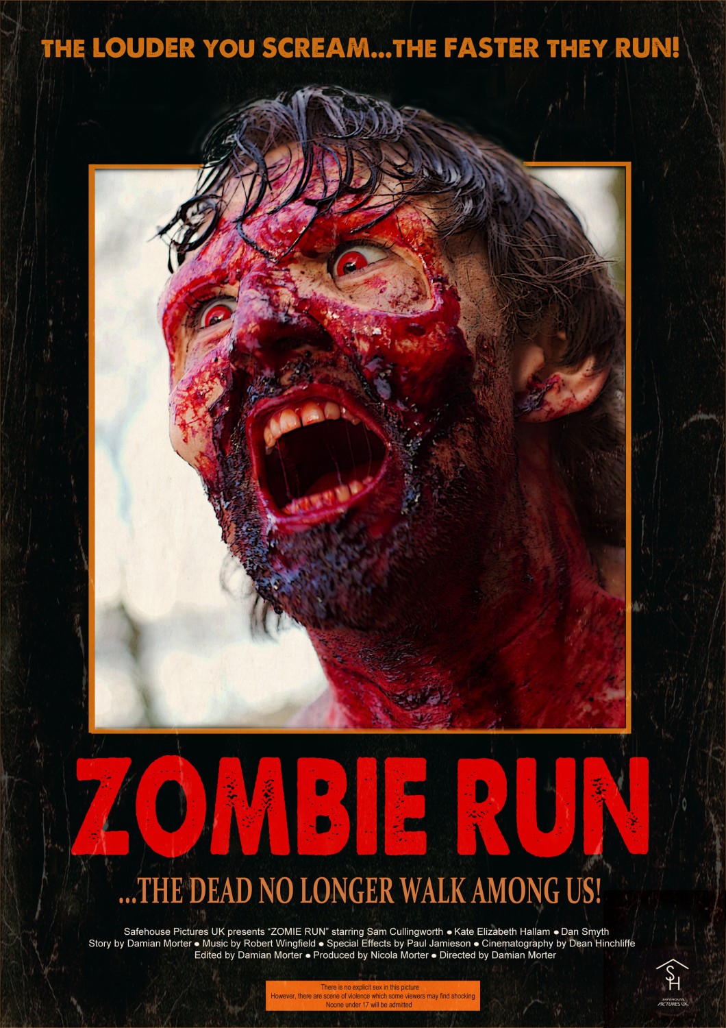 Extra Large Movie Poster Image for Zombie Run