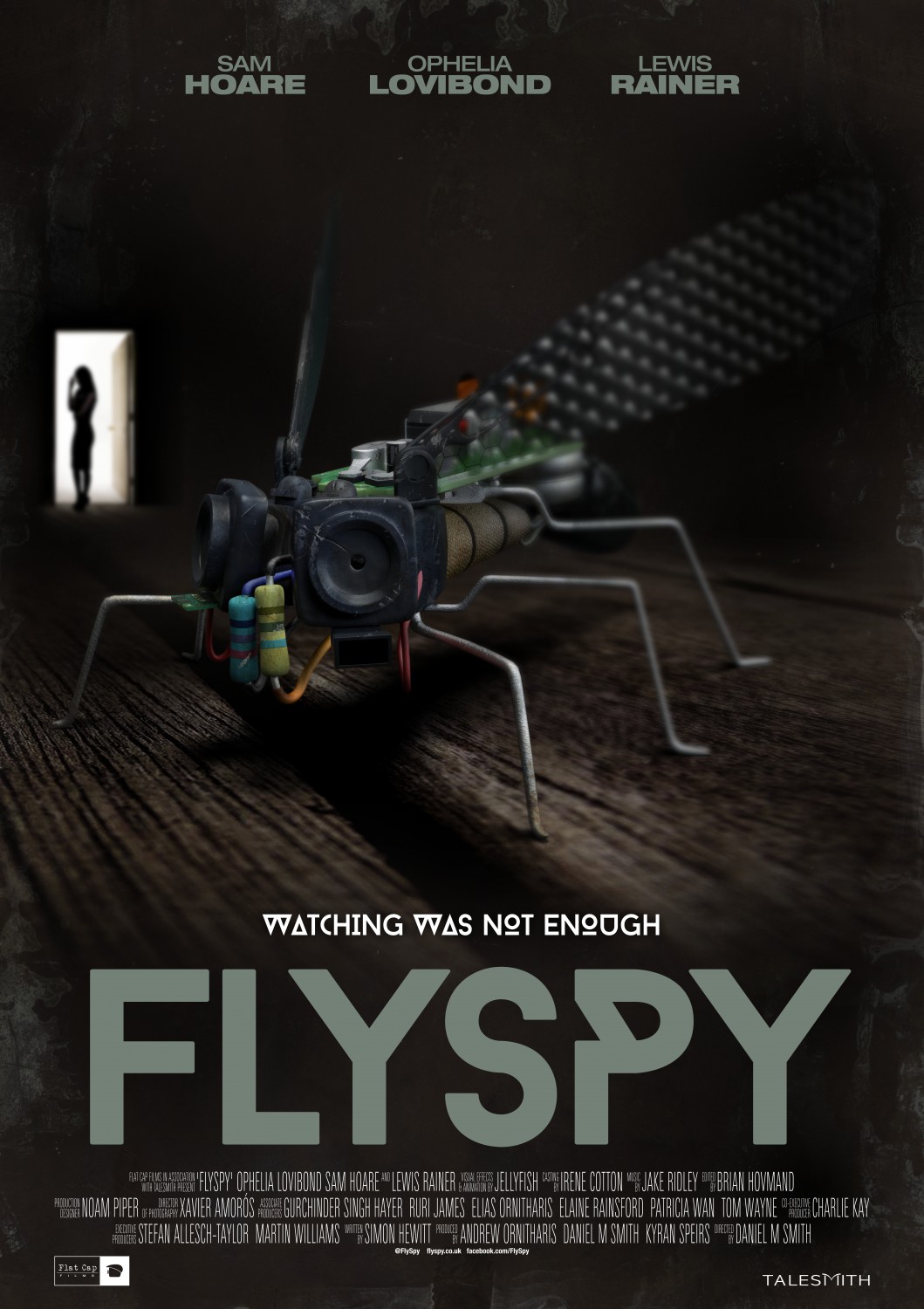 Extra Large Movie Poster Image for FlySpy