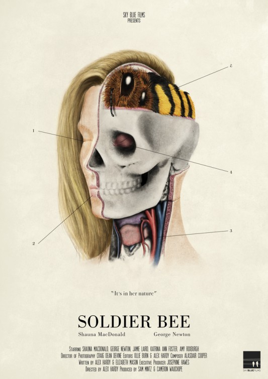 Soldier Bee Short Film Poster