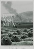 Dirt Ash Meat (2019) Thumbnail