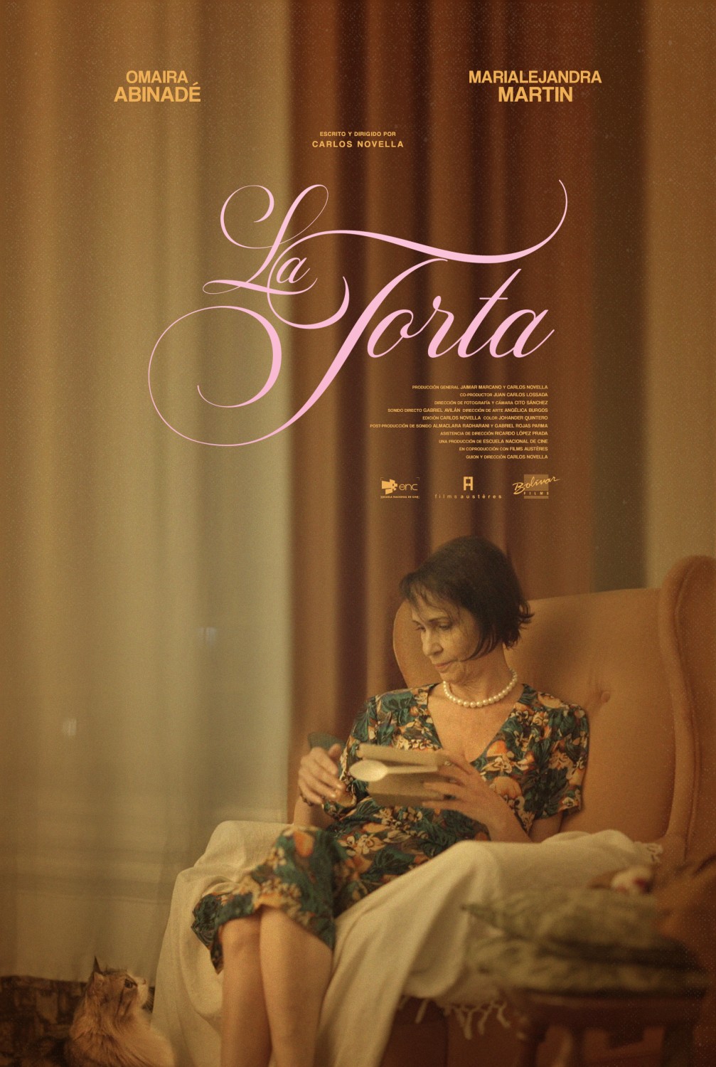 Extra Large Movie Poster Image for La torta