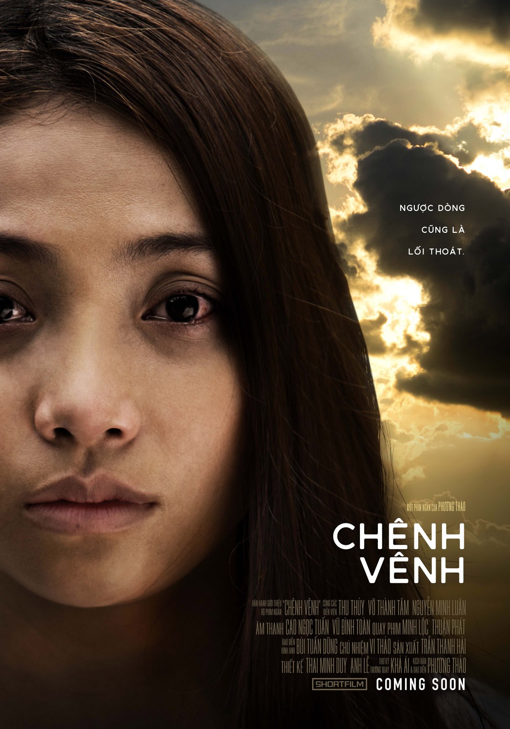 Extra Large Movie Poster Image for Chnh Vnh
